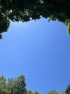 blue skies.jpeg