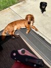 IMG_0106.jpeg