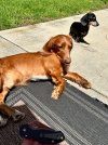 IMG_0108.jpeg