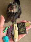 IMG_7237.jpeg
