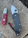 IMG_1978.jpeg