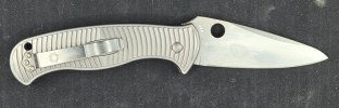 Spyderco Citadel (2).jpg