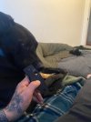 IMG_2354.jpeg