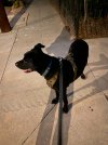 IMG_2357.jpeg