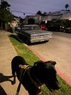 IMG_2358.jpeg