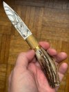 IMG_7258.jpeg