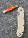 IMG_1983.jpeg