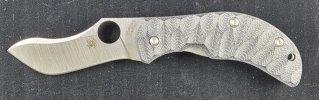 Zulu (1).jpg