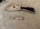 IMG_2382.jpeg IMG_2382.jpeg