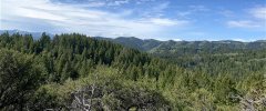 IMG_1129.jpg