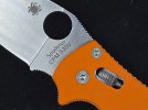 Manix 2 Orange (7).jpg