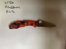 IMG_1665.jpeg
