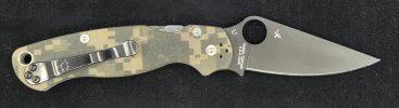 PM2 Camo DLC (2).jpg