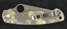 PM2 Camo DLC (4).jpg