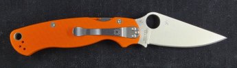PM2 Orange  (1).jpg