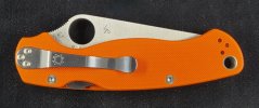 PM2 Orange  (3).jpg