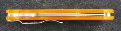 PM2 Orange  (5).jpg