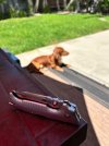 IMG_0296.jpeg