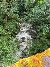 IMG_0526.jpeg