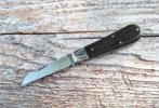 KIMG4147~2.JPG