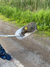 IMG_1376.jpeg