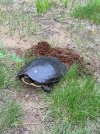 IMG_7555.jpeg
