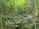 20260608_1608399.jpg