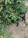 IMG_8673.jpeg