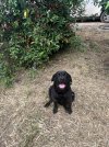 IMG_8672.jpeg