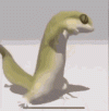 dance-lizard.gif