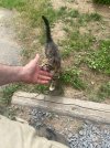 IMG_1384.jpeg