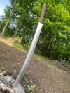 IMG_1413.jpeg