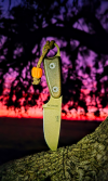 thumb (223).png thumb (223).png