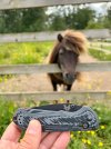 IMG_8198.jpeg