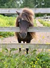 IMG_8196.jpeg