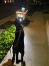 IMG_2423.jpeg