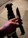 IMG_2424.jpeg