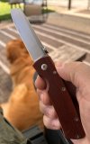 IMG_2026-06-12-135604.jpeg