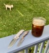 IMG_7548.jpeg