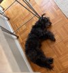 IMG_7373.jpeg