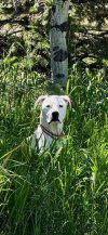 IMG_3813.jpeg