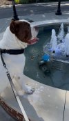 IMG_9749.jpeg