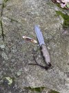 IMG_4482.jpeg