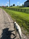 IMG_9783.jpeg