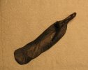 feather2.jpg