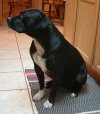 Jessie05.jpg