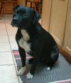 Jessie06.jpg