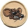 rat.jpg