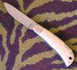 Ivory Bolster Folder5.JPG