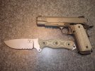 kimber%20002.jpg